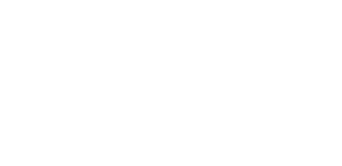 Tesla Developments